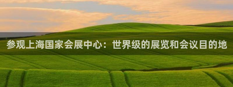 果博注册：参观上海国家会展中心：世界级的