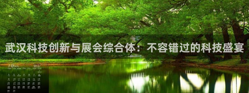 果博平台电话：武汉科技创新与展会综合体：不容错过的科技盛宴