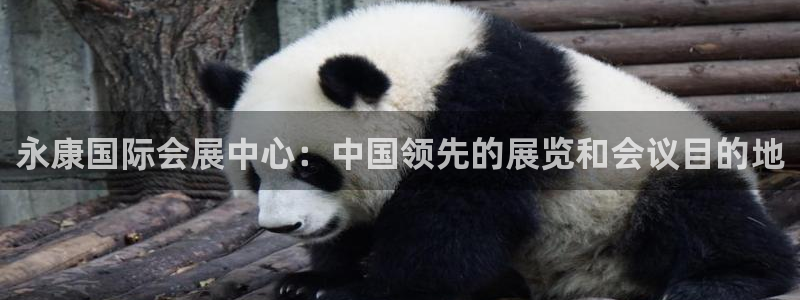 果博官网客服电话号码查询