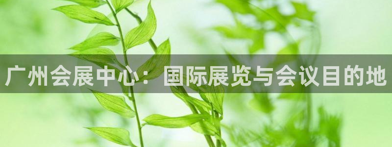 下载果博博东方下载