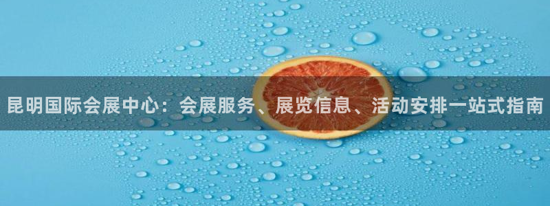 果博公司开户：昆明国际会展中心：会展服务