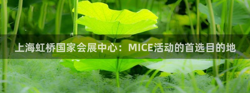 果博平台链接：上海虹桥国家会展中心：MI