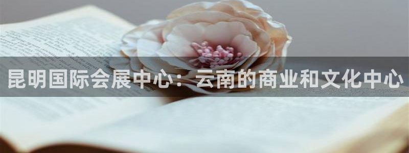 果博注册平台：昆明国际会展中心：云南的商业和文化中心