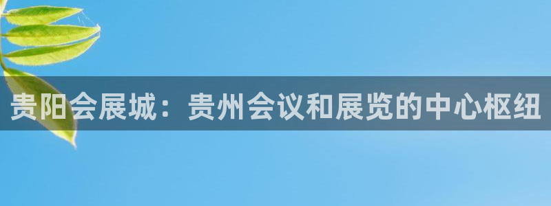 果博平台苹果电脑怎么下载：贵阳会展城：贵州会议和展览的中心枢纽