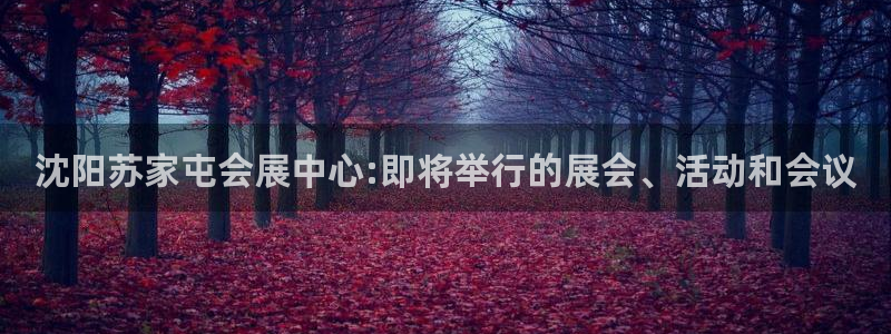 果博注册平台怎么注册的：沈阳苏家屯会展中心:即将举行的展会、活动和会议