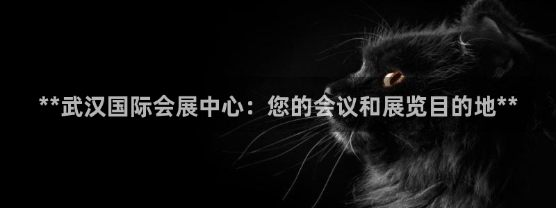 果博公司客服怎么样：**武汉国际会展中心：您的会议和展览目的地**