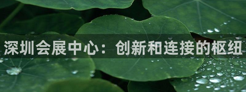 果博公司直属会员开户