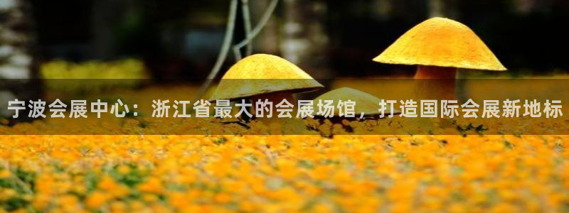 苹果电脑怎么下载博弈大师等软件：宁波会展中心：浙江省最大的会展场馆，打造国际会展新地标