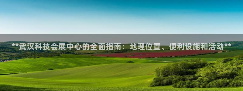 果博注册平台怎么注册的：**武汉科技会展中心的全面指南：地理位置、便利设施和活动**