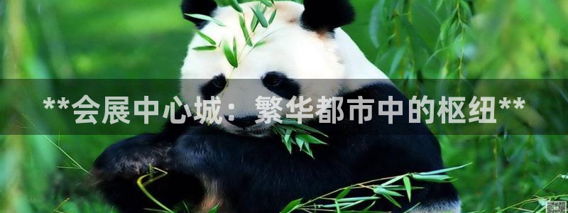 果博官方热线：**会展中心城：繁华都市中的枢纽**