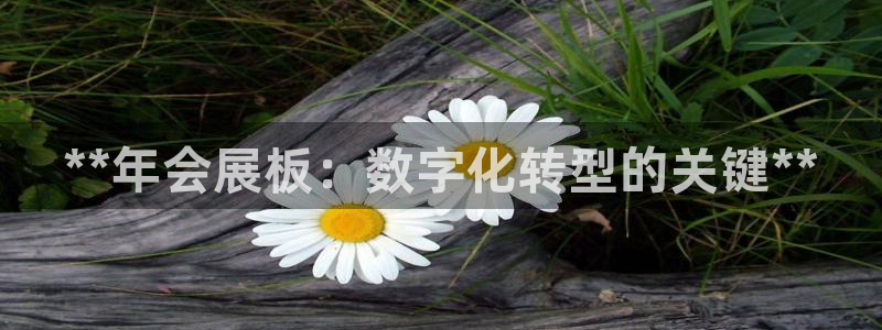 果博园简介：**年会展板：数字化转型的关键**