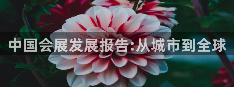 果博怎么注册账号：中国会展发展报告:从城市到全球
