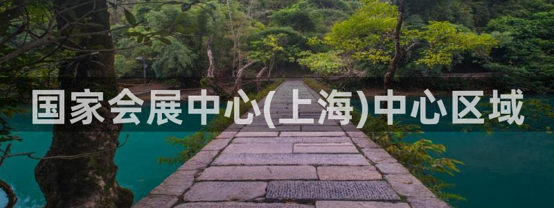 果博怎么注册账号和密码：国家会展中心(上海)中心区域