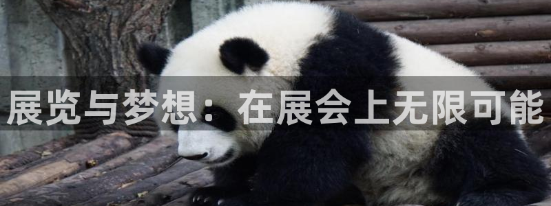 果博公司：展览与梦想：在展会上无限可能