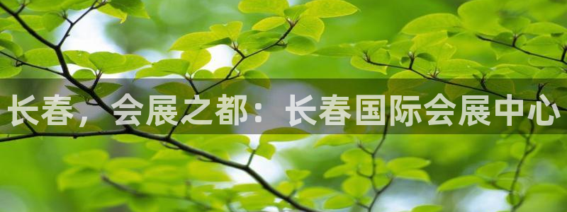 果博公司会员开户：长春，会展之都：长春国际会展中心