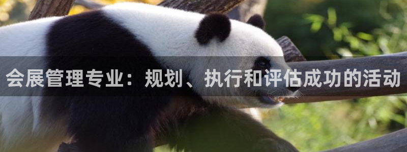 下载果博：会展管理专业：规划、执行和评估成功的活动
