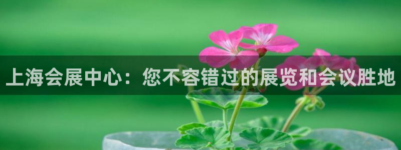 果博平台真实吗安全吗：上海会展中心：您不