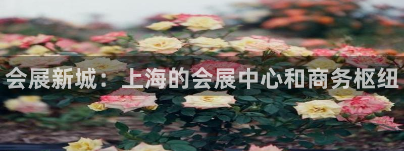 果博平台真实吗安全吗可靠吗：会展新城：上海的会展中心和商务枢纽
