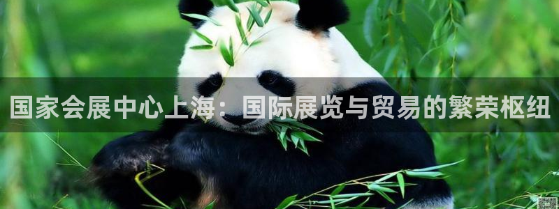 果博注册充值怎么充：国家会展中心上海：国