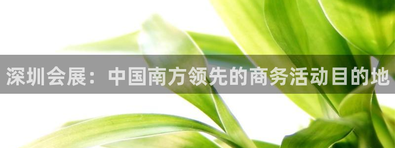 果博注册充值多少钱：深圳会展：中国南方领先的商务活动目的地