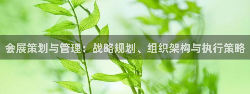 果博公司客服微信号是多少：会展策划与管理：战略规划、组织架构与执行策略