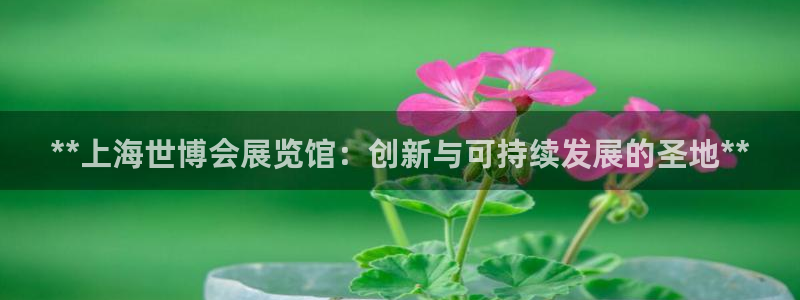 果博注册平台怎么注册的：**上海世博会展览馆：创新与可持续发展的圣地**