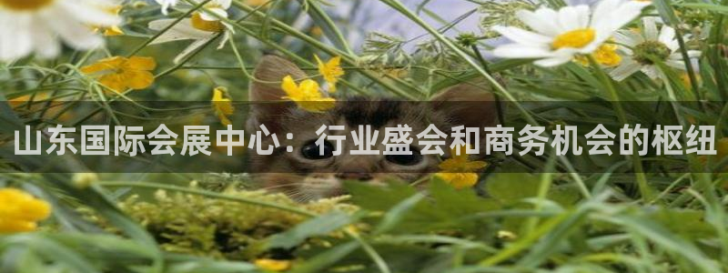 果博公司客服微信号是多少