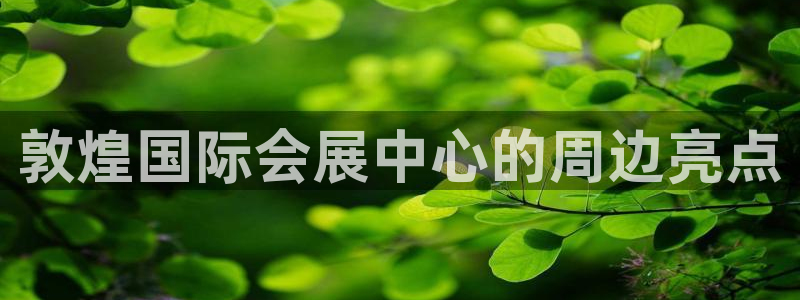 果博代理电话多少号码