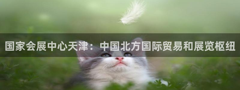 果博账号注册要钱吗