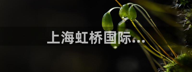 果博公司会员怎么开户：上海虹桥国际…