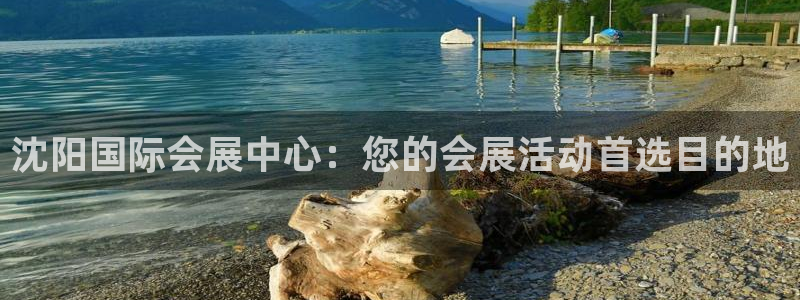 果博公司怎么注册会员：沈阳国际会展中心：