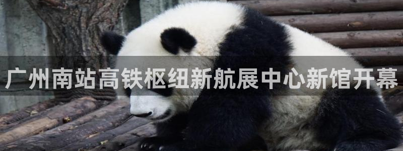 果博平台开户电话：广州南站高铁枢纽新航展中心新馆开幕