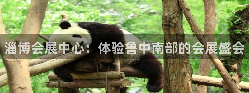 果博客服电话多少