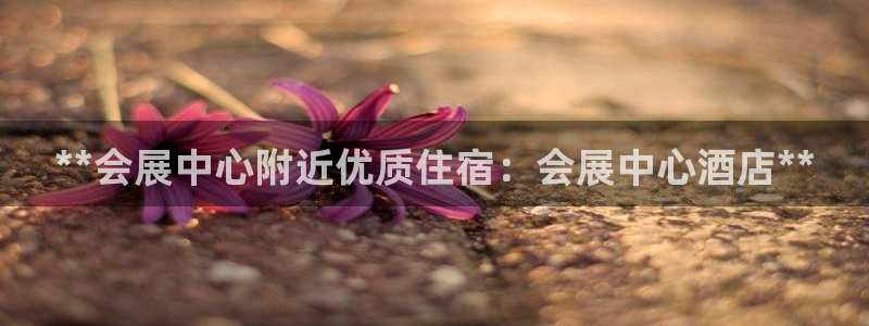 果博代理怎么注册：**会展中心附近优质住宿：会展中心酒店**
