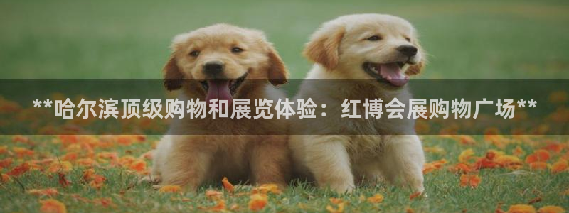 果博客服电话哪里找：**哈尔滨顶级购物和展览体验：红博会展购物广场**