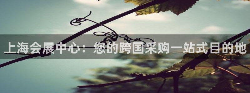 苹果手机能下载果博吗：上海会展中心：您的