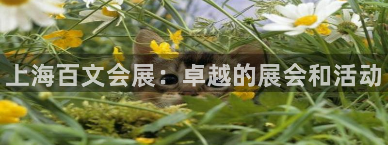 果博官方：上海百文会展：卓越的展会和活动