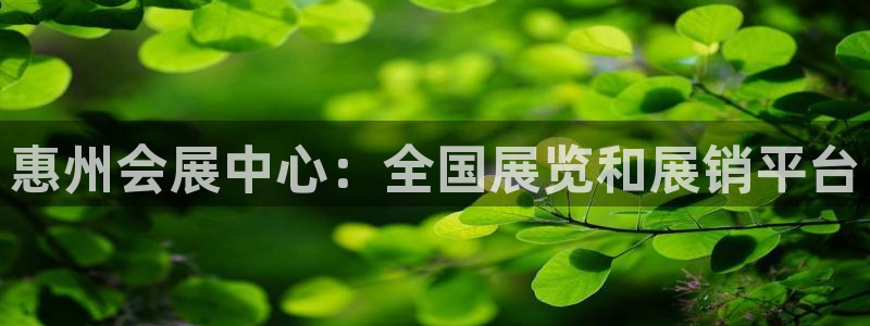 果博注册会员要钱吗：惠州会展中心：全国展览和展销平台