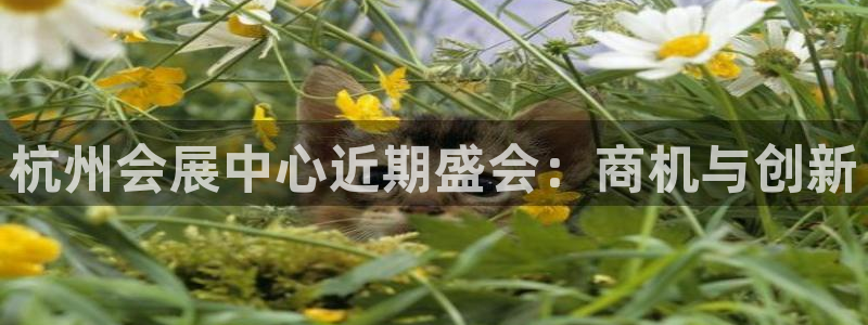 果博平台开户电话是多少：杭州会展中心近期盛会：商机与创新