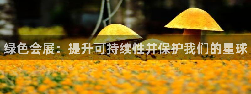 果博平台真实吗安全吗可信吗安全吗