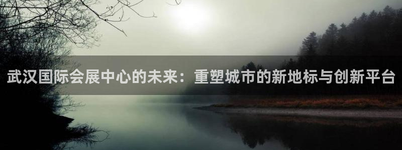 果博注册会员：武汉国际会展中心的未来：重塑城市的新地标与创新平台