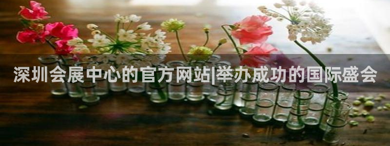 果博平台苹果电脑怎么下载：深圳会展中心的官方网站|举办成功的国际盛会