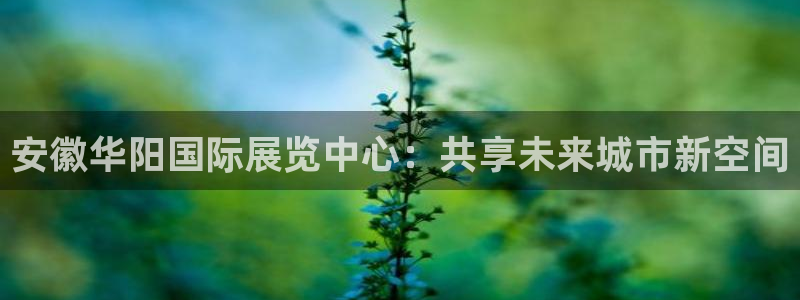 果博公司客服微信公众号：安徽华阳国际展览中心：共享未来城市新空间