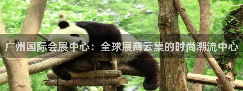 果博手机下载