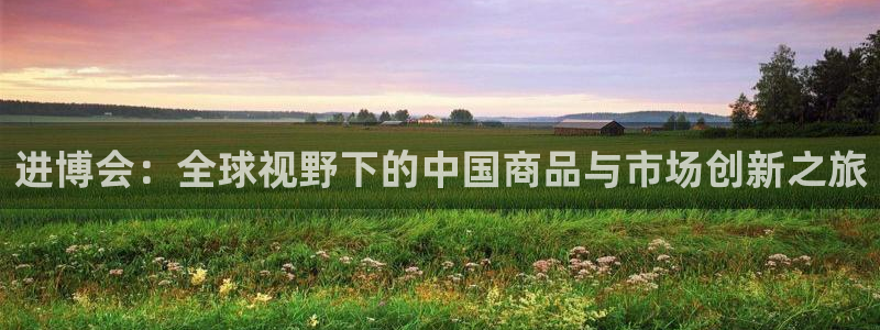 果博公司客服电话多少：进博会：全球视野下的中国商品与市场创新之旅