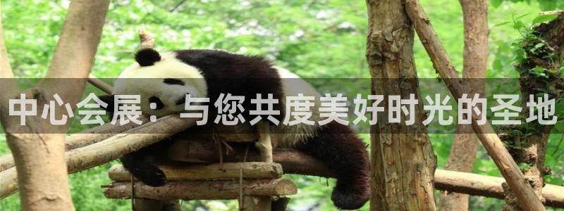 果搏代理：中心会展：与您共度美好时光的圣地
