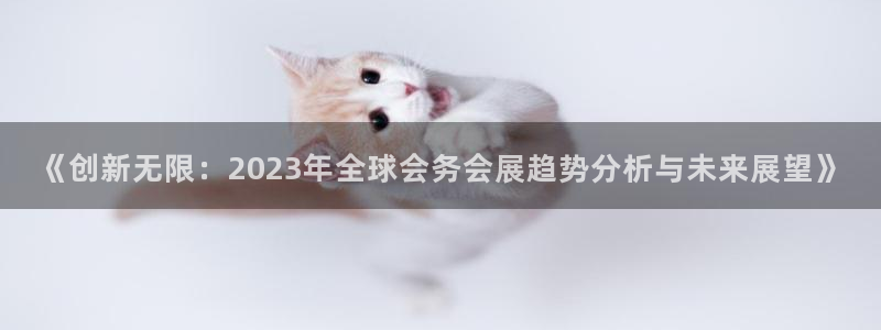 果博手机下载网址：《创新无限：2023年