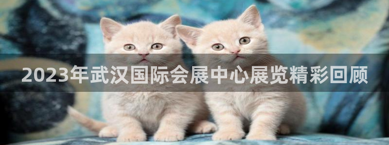 果博平台真实吗知乎推荐
