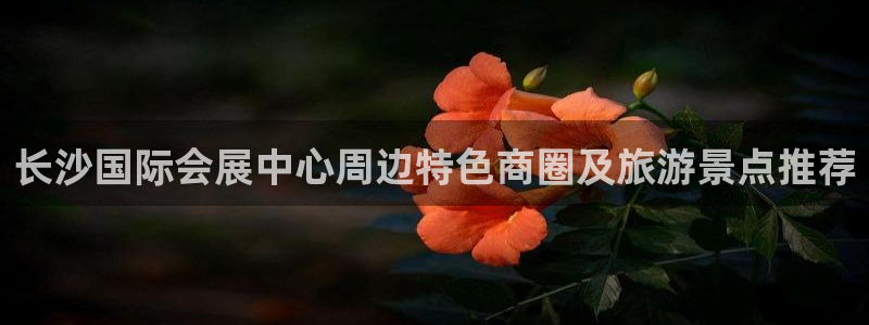 果博注册平台：长沙国际会展中心周边特色商圈及旅游景点推荐