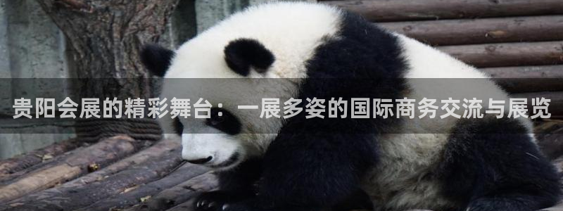 果博官网客服电话号码：贵阳会展的精彩舞台：一展多姿的国际商务交流与展览